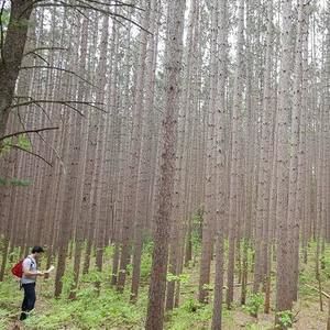 Meet your Posher, Micah